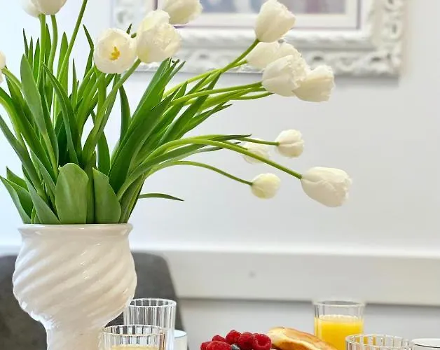 Vintage Centre Apartment